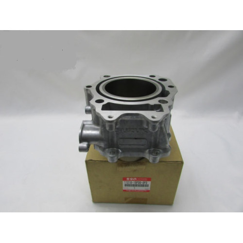 Gruppo Termico  Cilindro ORIGINALE per Suzuki Burgman 400 (2007-2018)