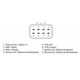 Centralina Elettronica per HONDA CRF 450 R (2002-2003) 