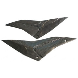 Fianchetti Sotto Serbatoio In Carbonio (Coppia) per APRILIA RSV4 RR / RF / 1100 FACTORY (2021-2022)