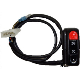 Comando Elettrico Run / Stop / Start