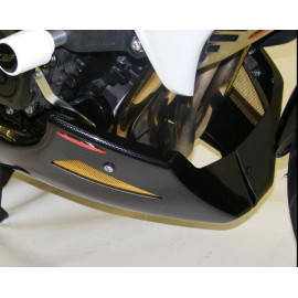Puntale Motore in ABS POWERBRONZE Colore Nero - Griglia argento per HONDA CBF 1000 F / ST (2010/2011)