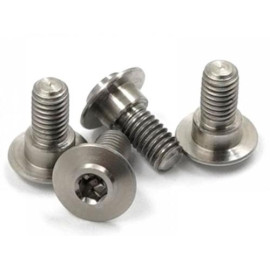 Bulloneria Viteria Titanio