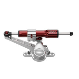 Ammortizzatore di Sterzo