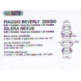 Cuscinetti Sterzo BUZZETTI per PIAGGIO BEVERLY 250 / 300 GILERA NEXUS