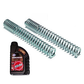 Kit Molle Forcella BITUBO completo di Olio Specifico SILKOLENE per APRILIA LEONARDO 300 / ST (2002/2006)