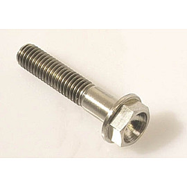 Vite con Testa Esagonale in Titanio Grado 5 M8 Lunghezza 10mm