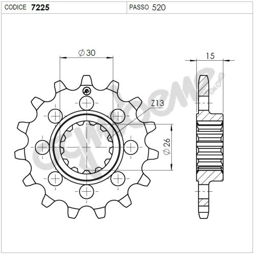 Pignone passo 520 denti17 per BMW  S 1000 RR