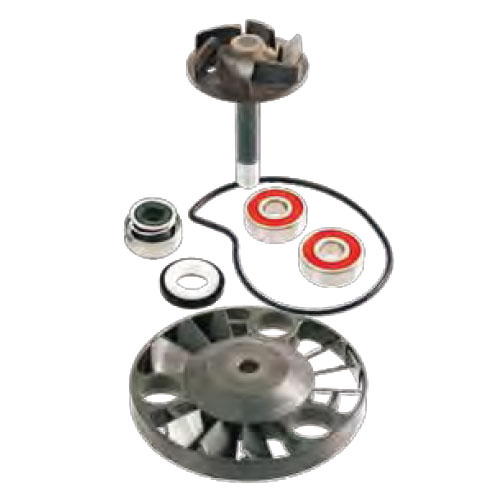 Kit Revisione Pompa Acqua Motore RMS per PIAGGIO BEVERLY 125 / 200 / RST (2001/2005) - HEXAGON / SUPER HEXAGON 125 / 180 GTX (2000/2002) - VESPA 125 / 200 GRANTURISMO (2003/2005) - X9 125 / EVO (2001/2003)