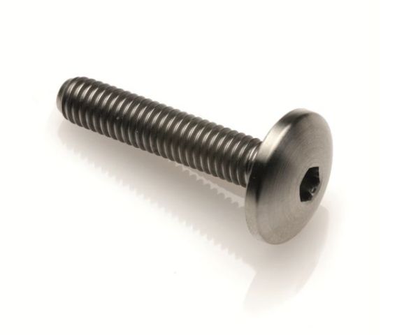 Vite con Testa Bombata in Titanio Grado 5 M6 Lunghezza 50mm